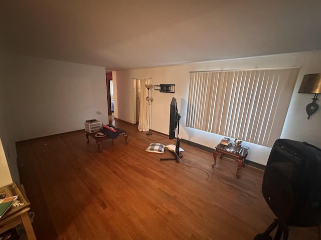 workout room featuring wood-type flooring