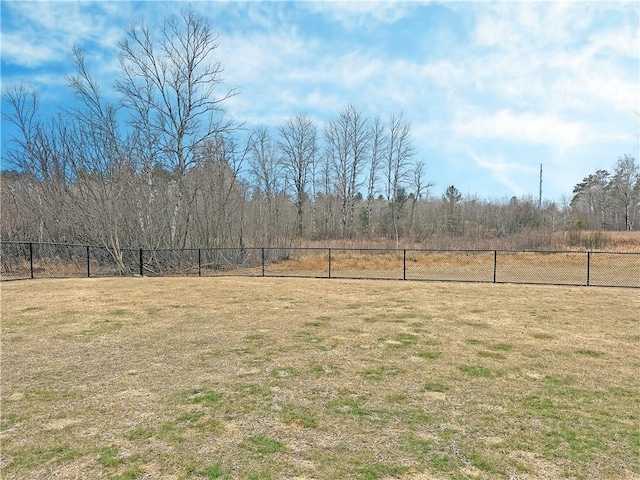 10004 Aspen Ln, Hayward, WI 54843 - view of yard