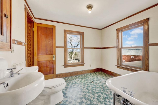 bathroom with sink, toilet, a wealth of natural light, and a tub