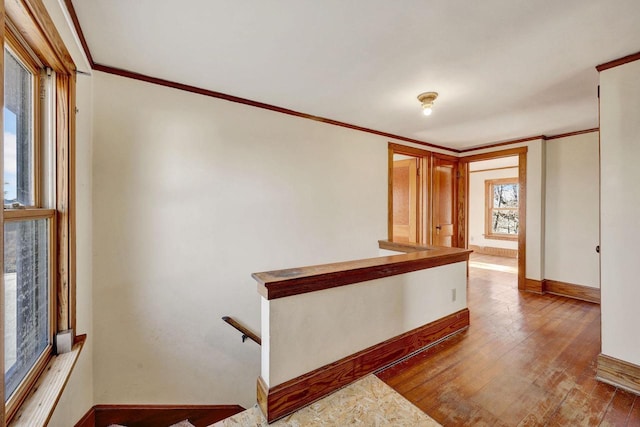 corridor featuring ornamental molding and light hardwood / wood-style flooring