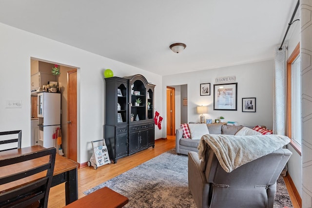 living room featuring light hardwood / wood-style floors