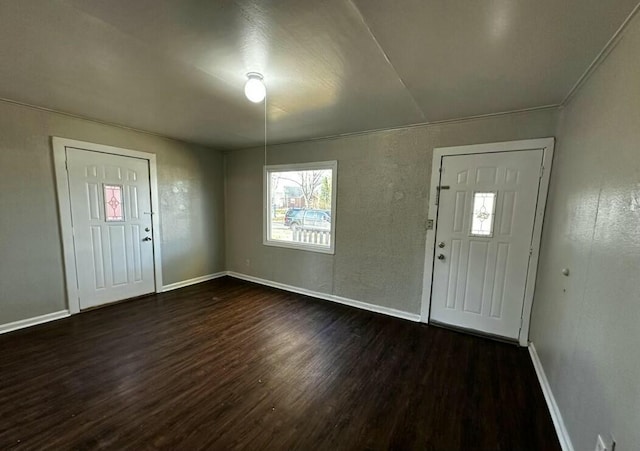 foyer entrance featuring dark wood-type flooring