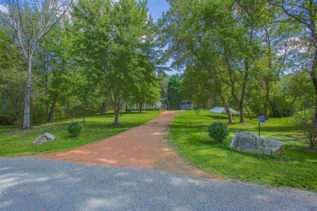 view of community with a lawn