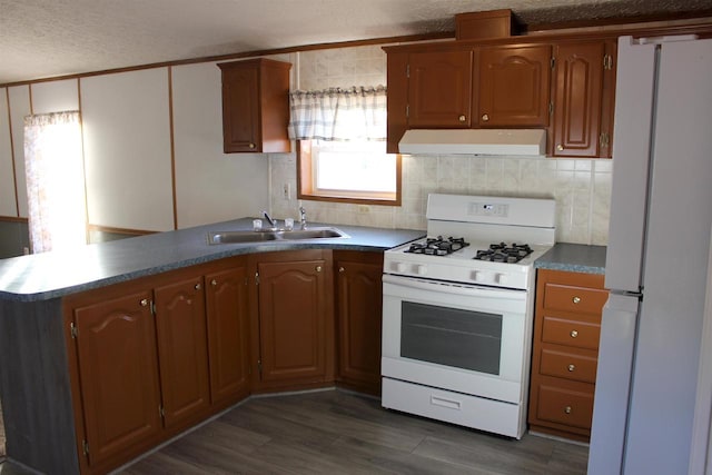 kitchen with white appliances, range hood, plenty of natural light, and sink