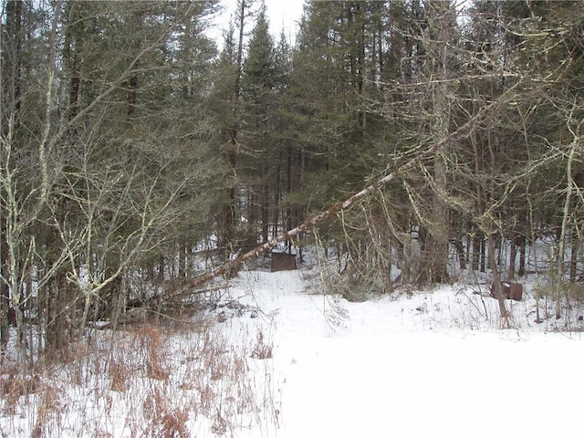 88270 County Highway F, Butternut, WI 54514 - view of snowy landscape