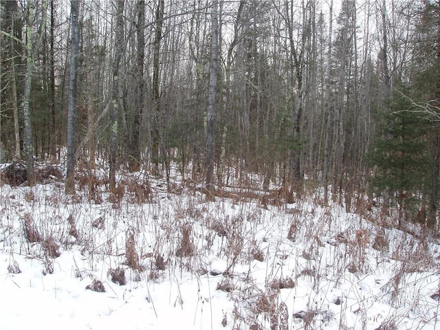 88270 County Highway F, Butternut, WI 54514 - view of snowy landscape