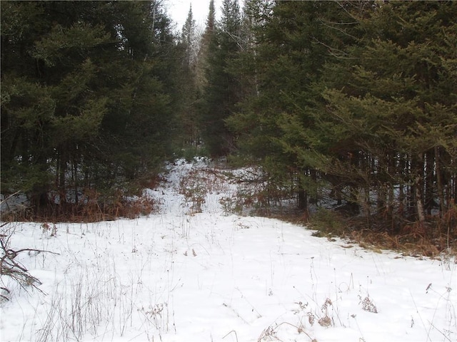 88270 County Highway F, Butternut, WI 54514 - view of snowy view