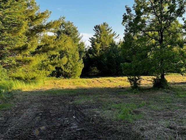 0 Granton Rd, Neillsville WI, 54456 land for sale