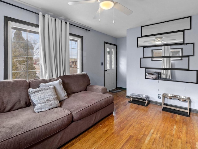 living room with hardwood / wood-style floors and ceiling fan