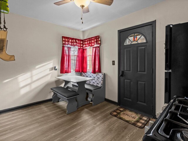 foyer entrance with ceiling fan and hardwood / wood-style flooring