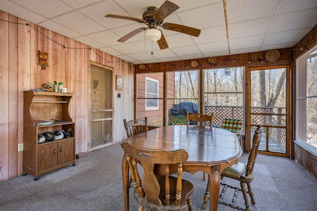 dining room with wooden walls, carpet floors, ceiling fan, and plenty of natural light