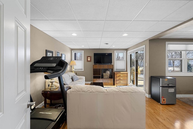 living room with a drop ceiling and light wood-type flooring