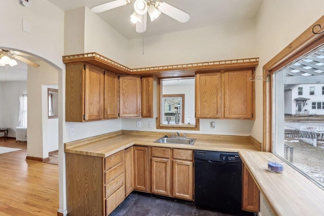 kitchen with sink, dishwasher, ceiling fan, radiator heating unit, and dark hardwood / wood-style floors