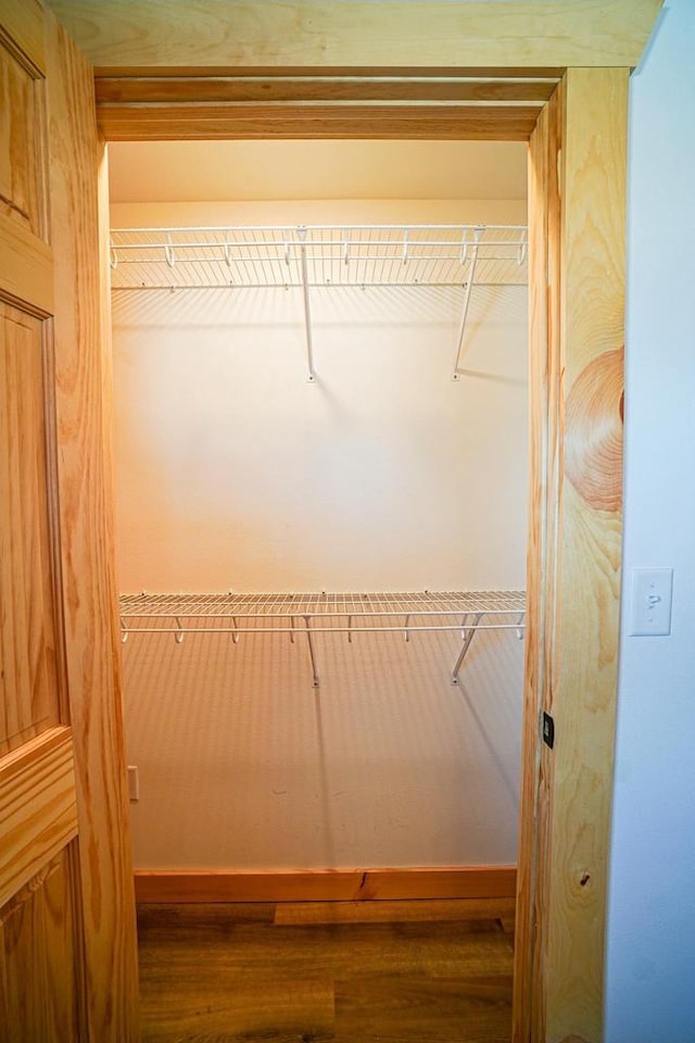 view of closet