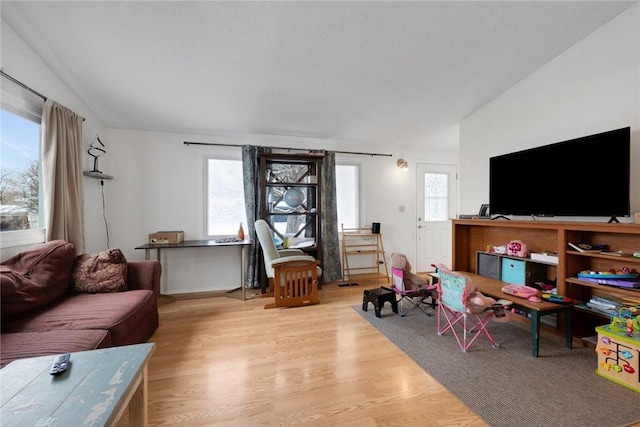 living room featuring light wood-type flooring