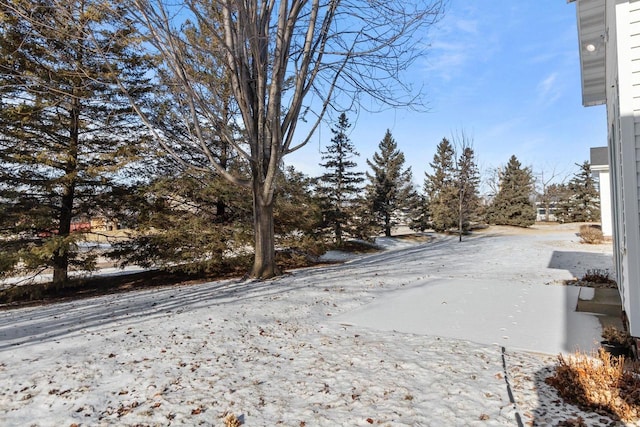 view of yard covered in snow