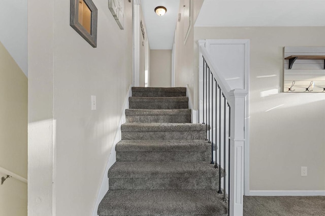 stairs with carpet floors