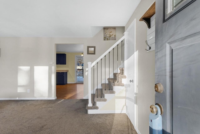 view of carpeted foyer