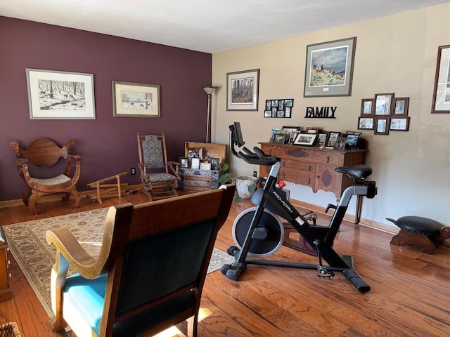 exercise room with hardwood / wood-style flooring