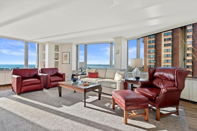 living room with light wood-type flooring and a water view