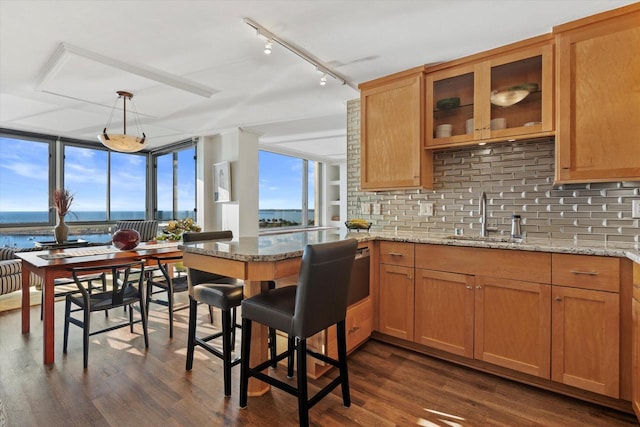 kitchen featuring sink, a water view, light stone countertops, dark hardwood / wood-style flooring, and pendant lighting