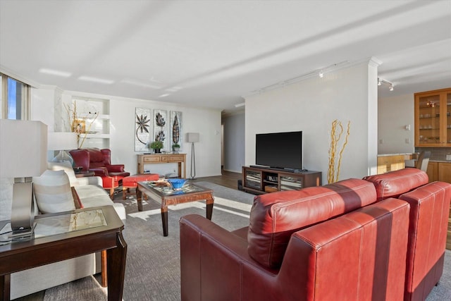 living room featuring ornamental molding and track lighting