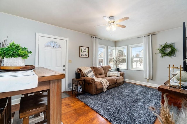 living room with ceiling fan and hardwood / wood-style floors