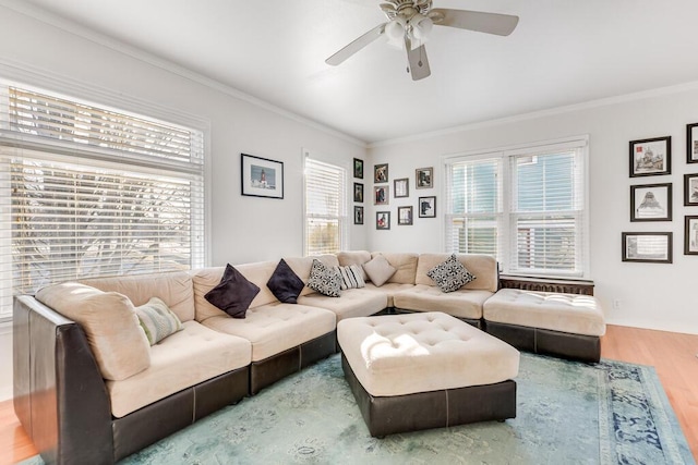 living room with ceiling fan, crown molding, and hardwood / wood-style floors