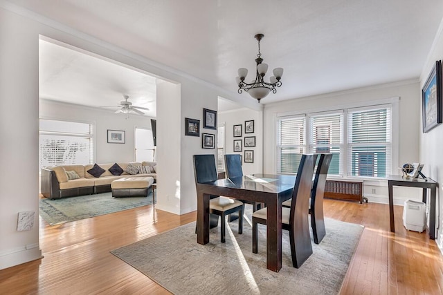 dining room with ceiling fan with notable chandelier, light wood-type flooring, crown molding, and radiator heating unit