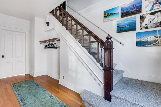 stairway featuring wood-type flooring