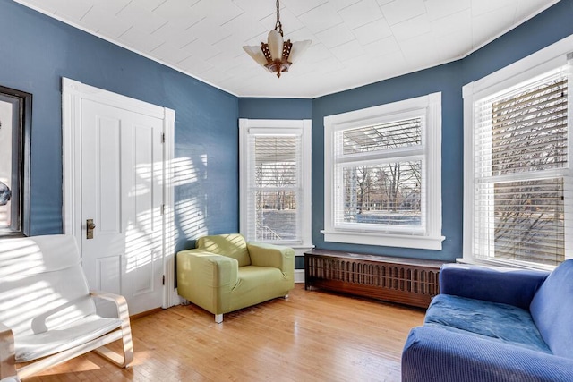 living area featuring a wealth of natural light, radiator, and wood-type flooring