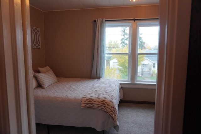 carpeted bedroom with multiple windows