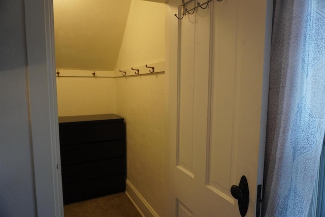 spacious closet featuring vaulted ceiling