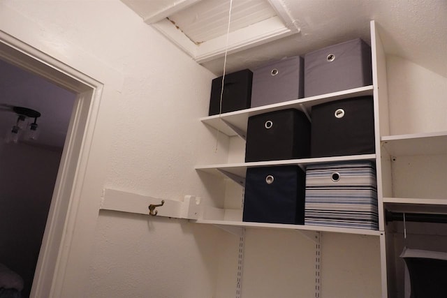 view of spacious closet