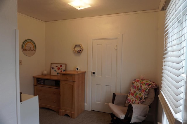 living area featuring ornamental molding and carpet flooring