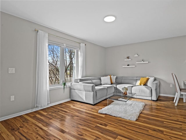 living room featuring hardwood / wood-style flooring