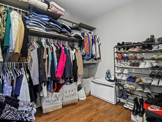 spacious closet featuring wood-type flooring