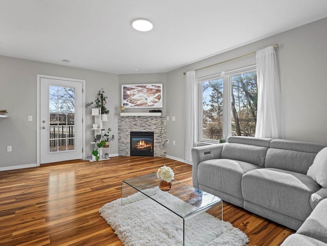 living room with a fireplace and wood-type flooring