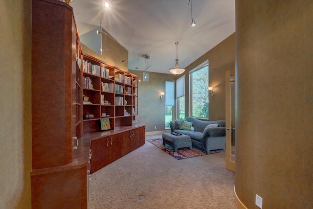 sitting room featuring carpet