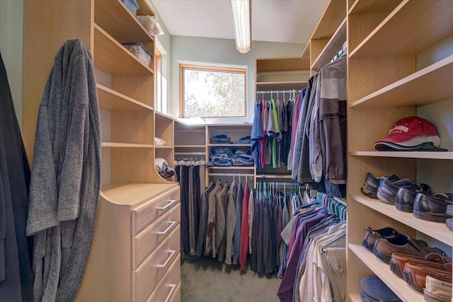 spacious closet featuring carpet floors