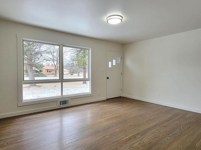 foyer with a wealth of natural light and hardwood / wood-style flooring