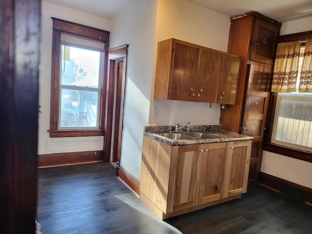 kitchen with dark hardwood / wood-style flooring and sink