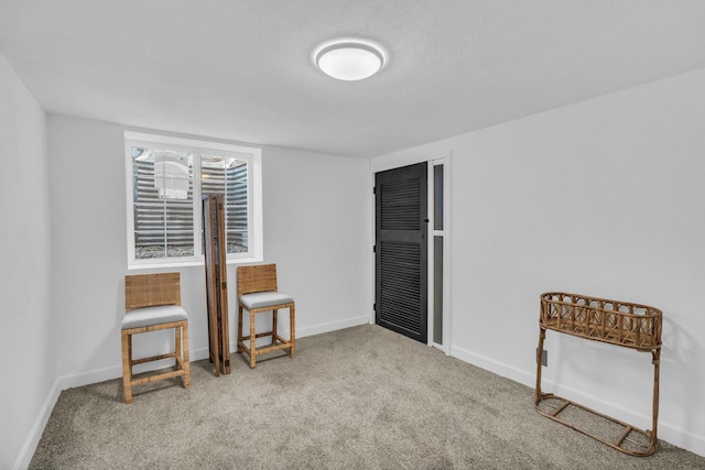 sitting room featuring carpet