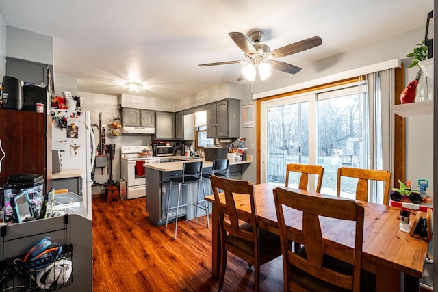 dining area featuring ceiling fan and dark hardwood / wood-style floors