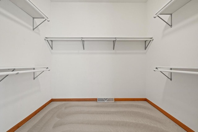 walk in closet featuring carpet flooring