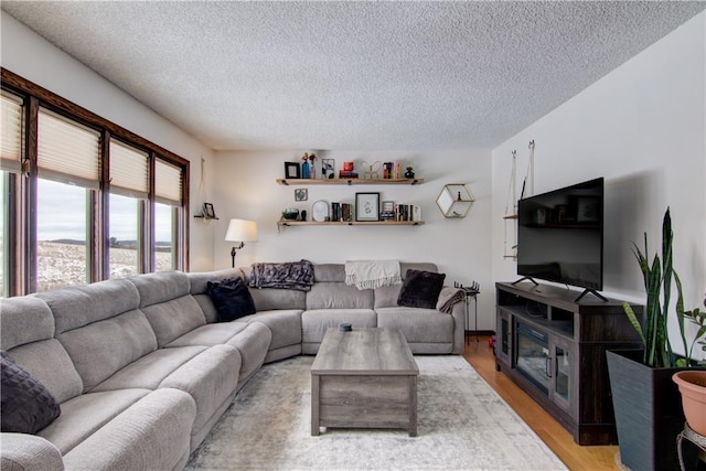 living room featuring a textured ceiling and light hardwood / wood-style floors