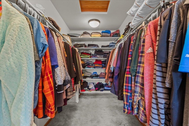 spacious closet with carpet floors