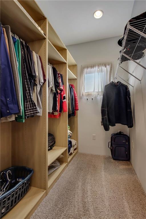 walk in closet with carpet floors