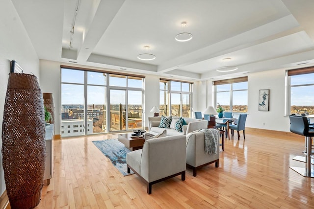 living room with light hardwood / wood-style floors