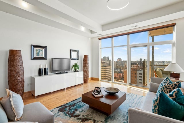 living room featuring light hardwood / wood-style flooring